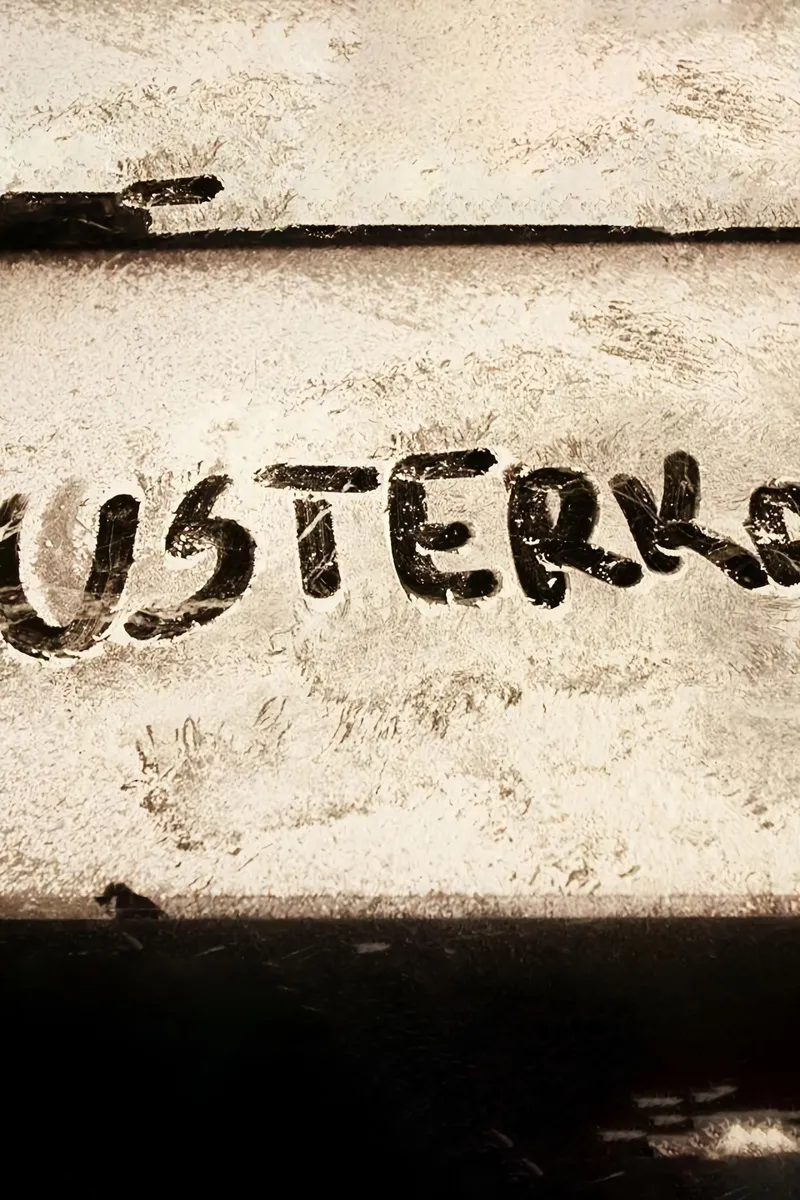 Usterka – plakát