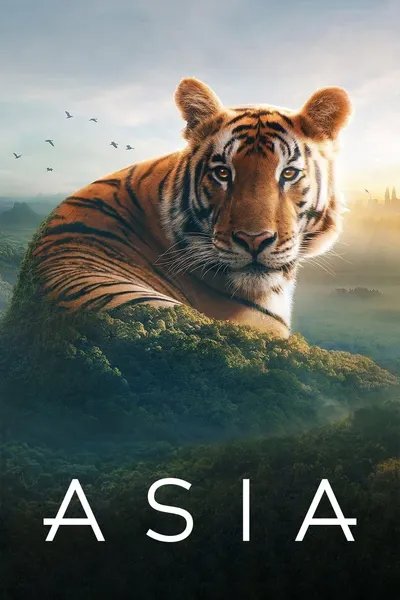 Zázračná Asie