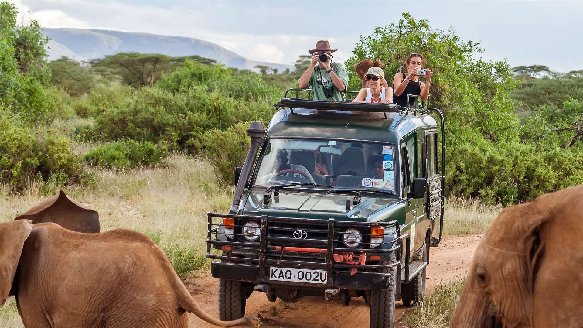 Smrtící safari