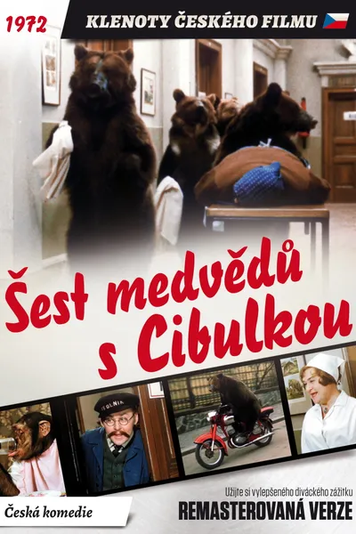 Šest medvědů s Cibulkou