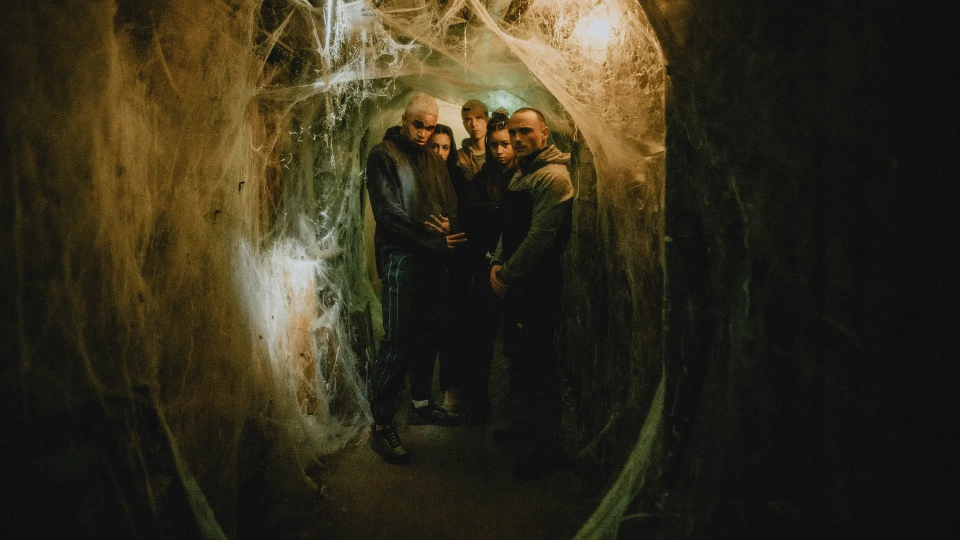 Spiders – Ihr Biss ist der Tod