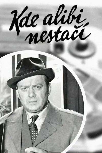 Kde alibi nestačí