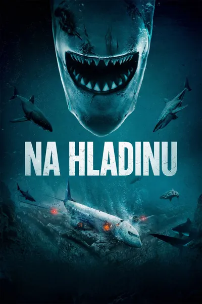 Na hladinu