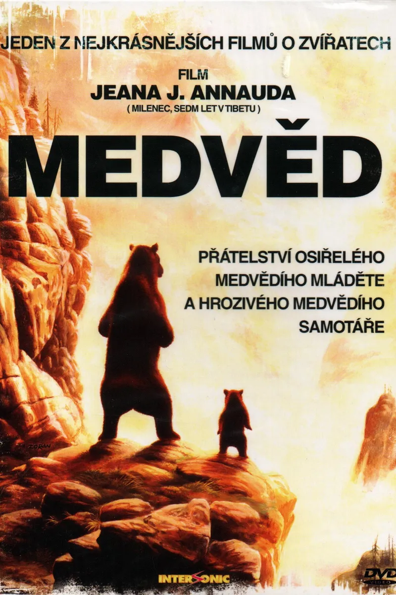 Medvědi
