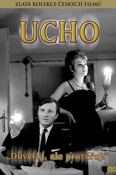 Ucho