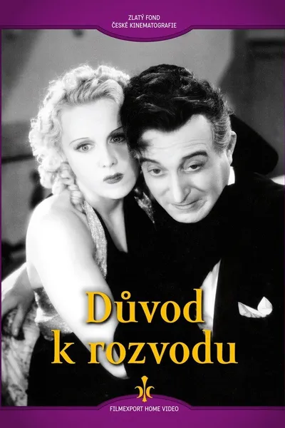 Důvod k rozvodu