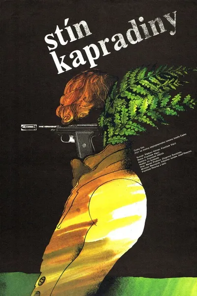 Stín kapradiny