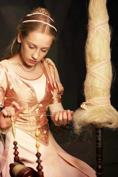Rozprávky bratov Grimmovcov: Šípková Ruženka
