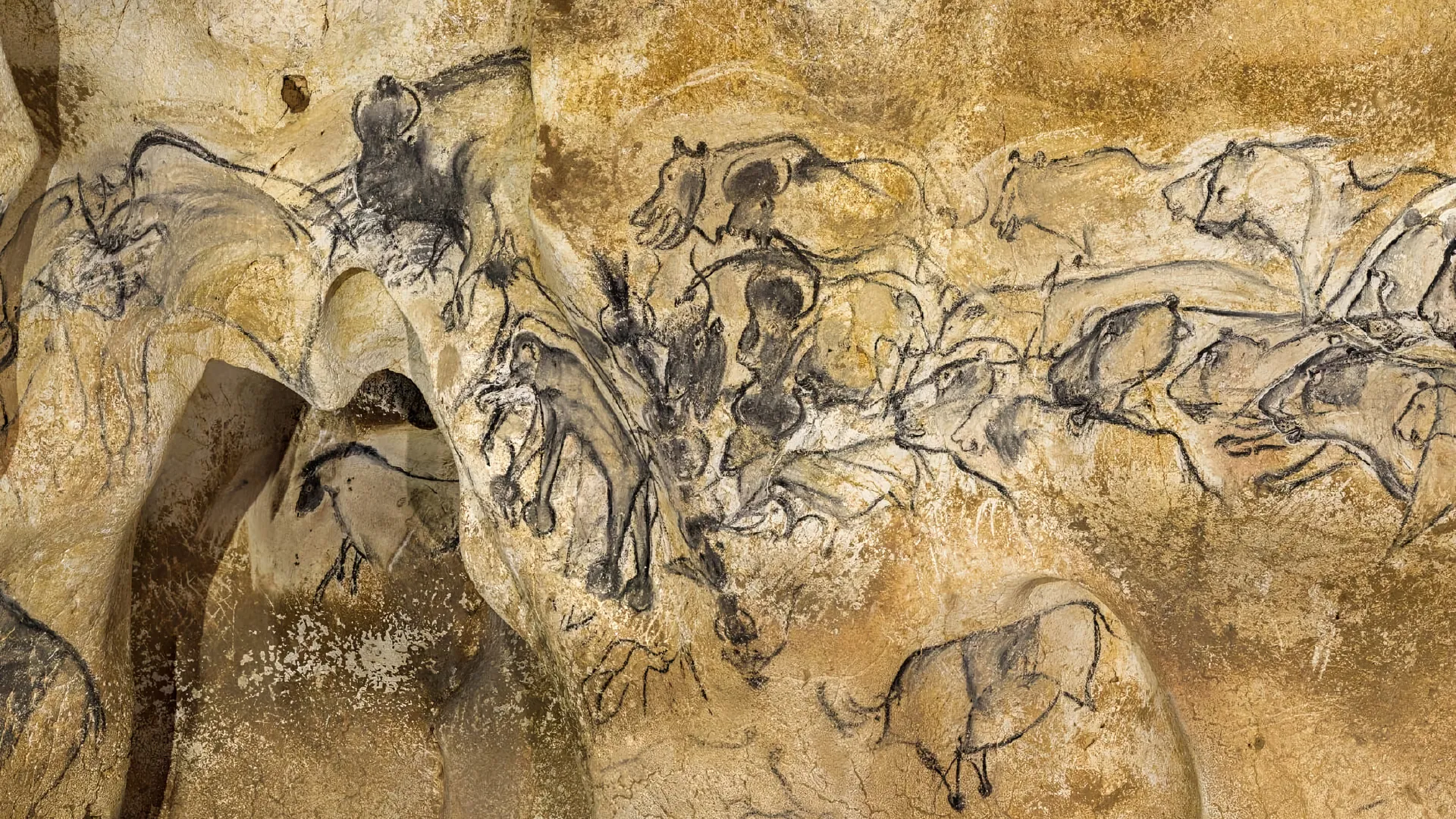 Auf den Spuren prähistorischer Künstler – Die Chauvet-Höhle