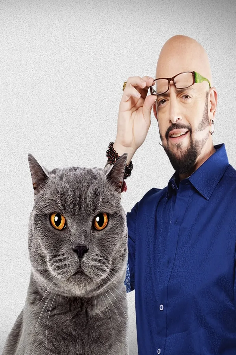 Má pekelná kočka