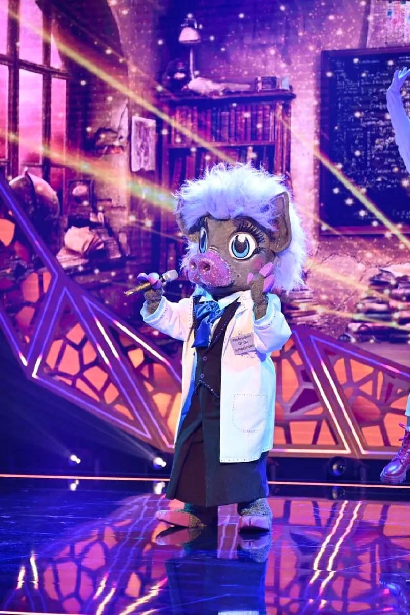 The Masked Singer – plakát