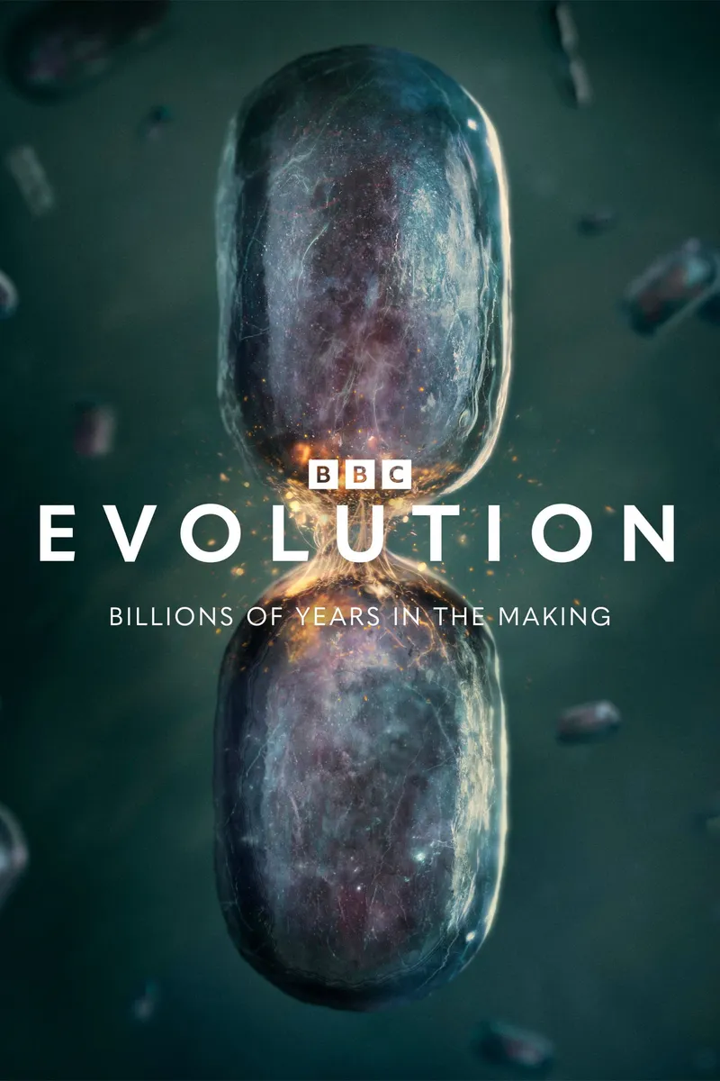 Evolution – plakát