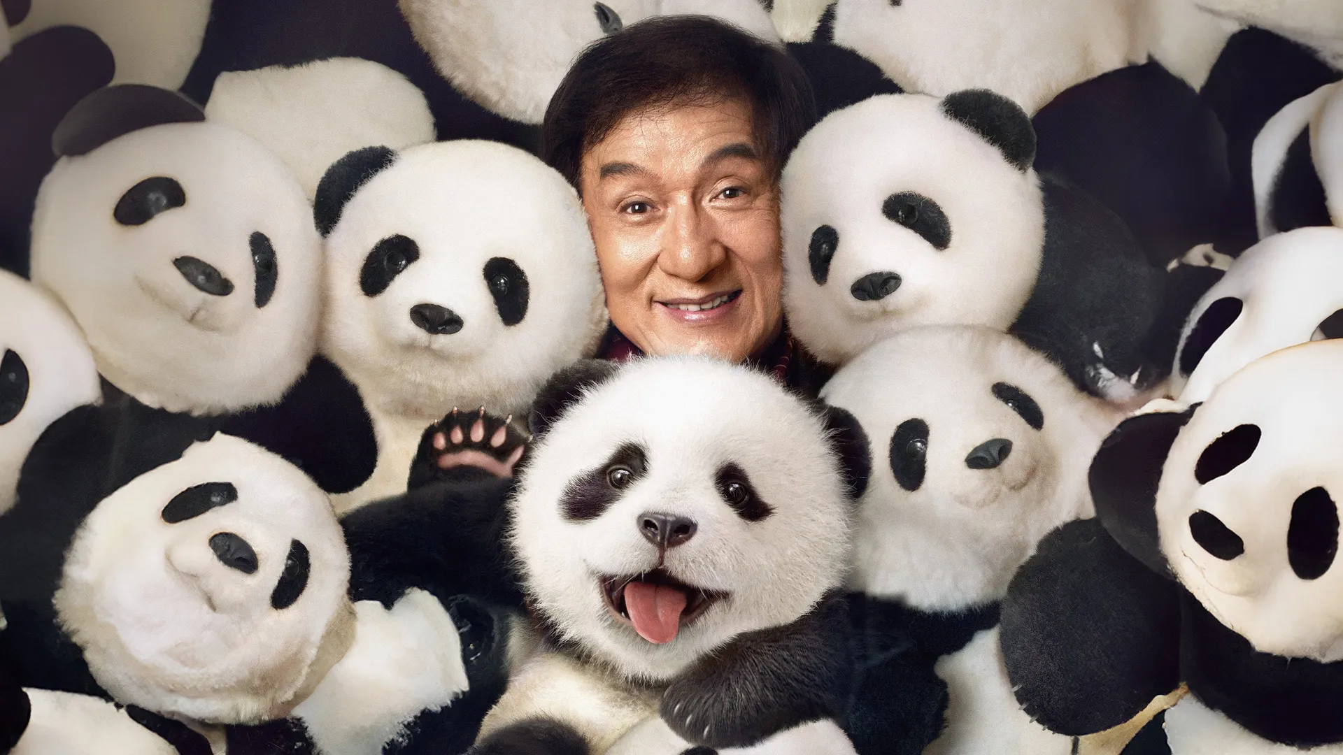 Operace Panda