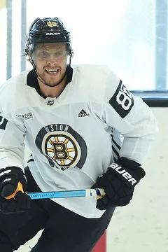 David Pastrňák