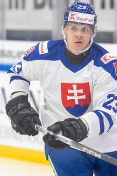 Adam Liška