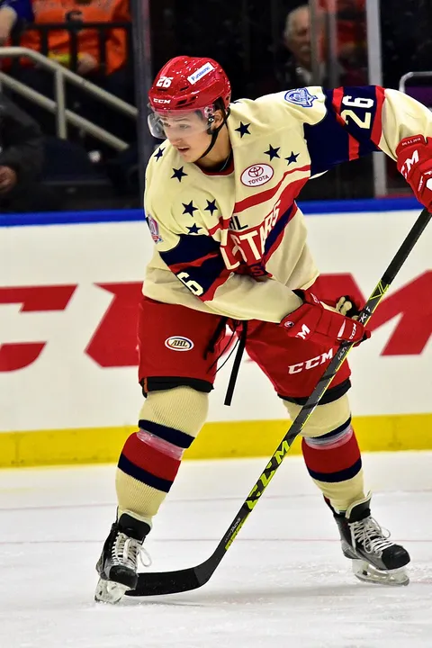 Brandon Montour — TheAHL, CC BY 2.0, Wikimedia Commons Brandon Montour