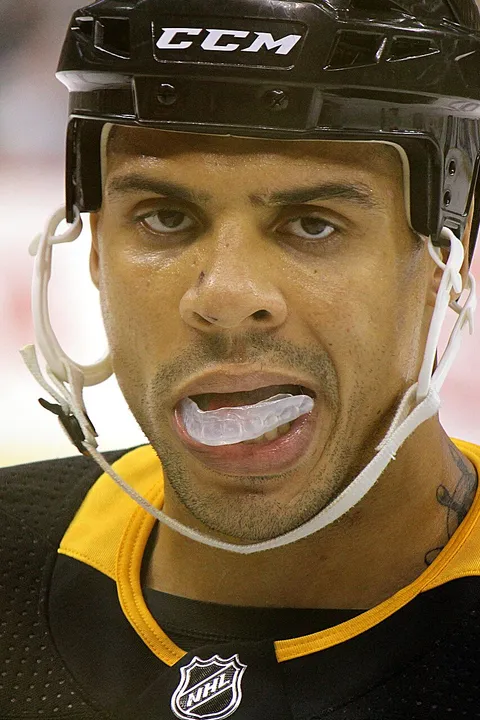 Ryan Reaves – fotografie